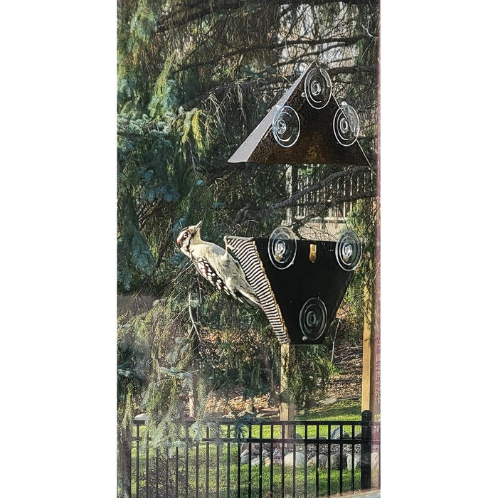 Pyramid Window Bird Feeder