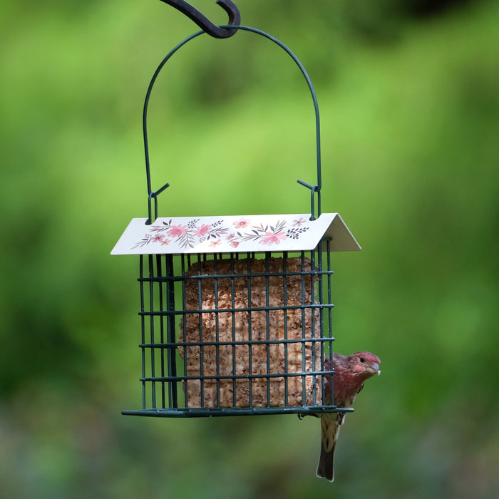 Bird perched on a green bird feeder with floral design against a blurred green background