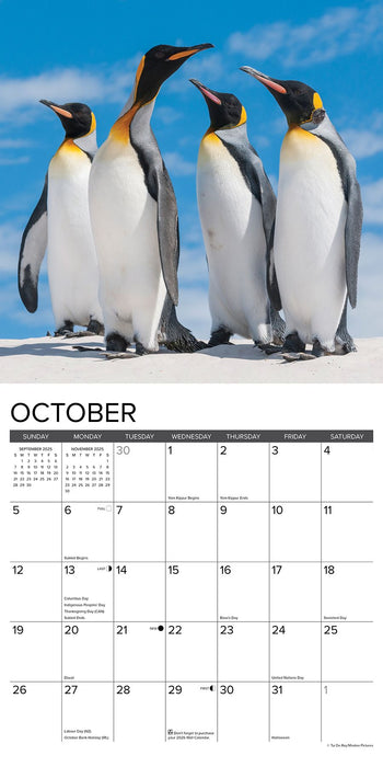 2025 Penguins Wall Calendar 12 IN