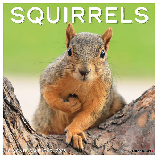 2025 Squirrels Wall Calendar 12 IN