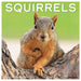 2025 Squirrels Wall Calendar 12 IN