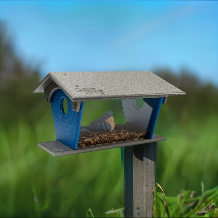 Green Meadow Large Bluebird Mealworm Feeder - POST MOUNT