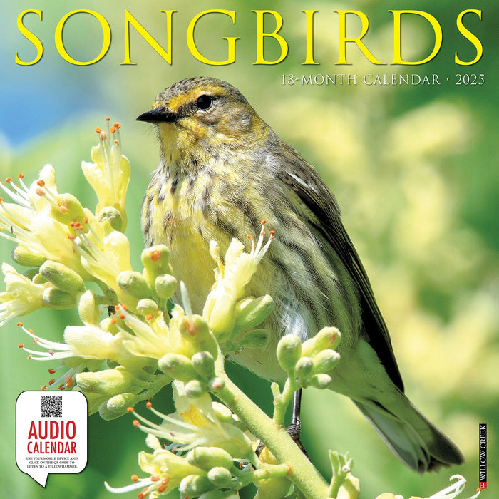 2025 Songbirds Wall Calendar 12 IN