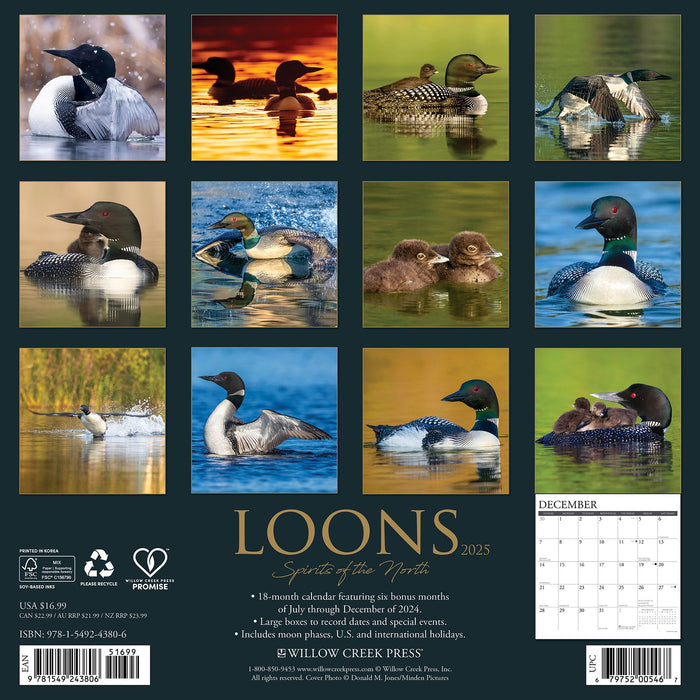 2025 Loons Wall Calendar 12 IN