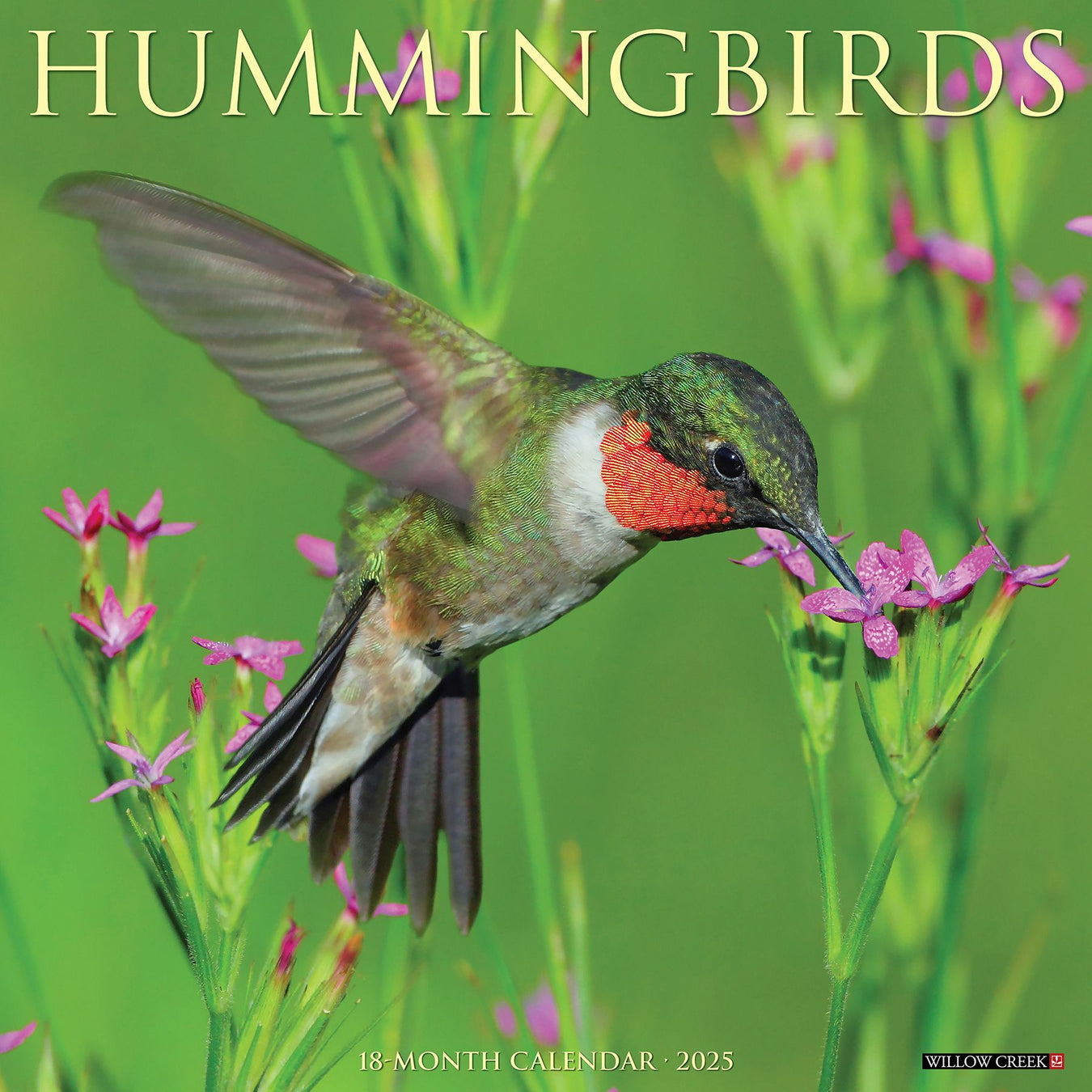 2025 Hummingbirds Wall Calendar 12 IN