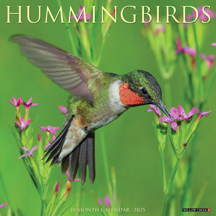 2025 Hummingbirds Wall Calendar 12 IN