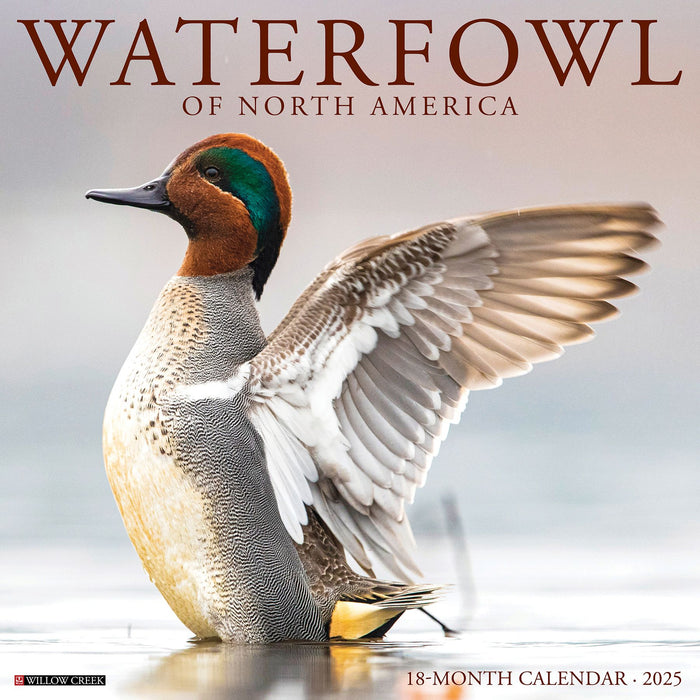 2025 Waterfowl Wall Calendar 12 IN