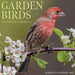 2025 Garden Birds of North America Wall Calendar 12 IN