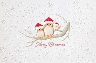 A festive Christmas illustration featuring three cute owl characters wearing red Santa hats perched on a branch, with the words 'Merry Christmas' written below on a white textured background with snowflake details.