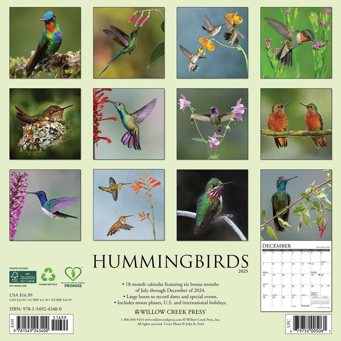 2025 Hummingbirds Wall Calendar 12 IN