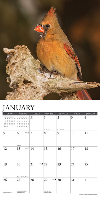 2025 Cardinals Wall Calendar 12 IN