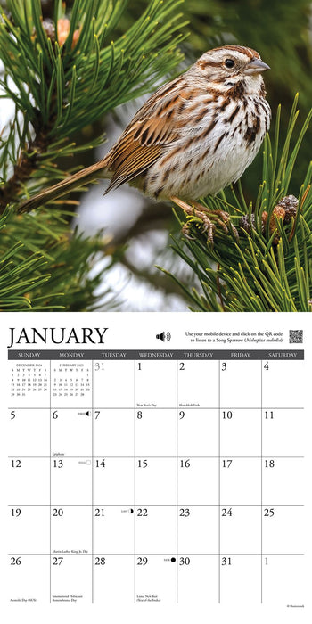 2025 Songbirds Wall Calendar 12 IN