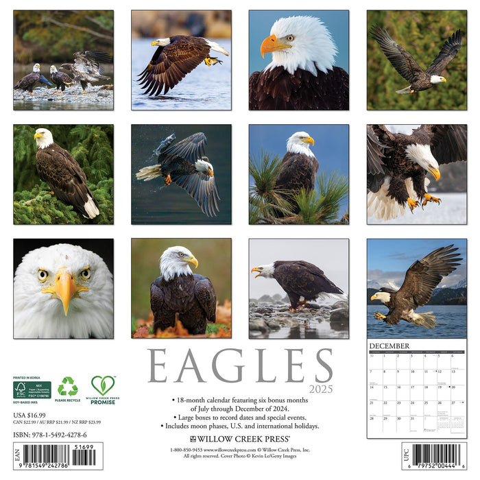 2025 Eagles Wall Calendar 12 IN