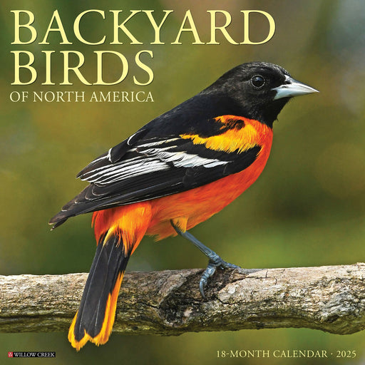 2025 Backyard Birds of North America Wall Calendar 12 IN