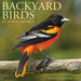 2025 Backyard Birds of North America Wall Calendar 12 IN