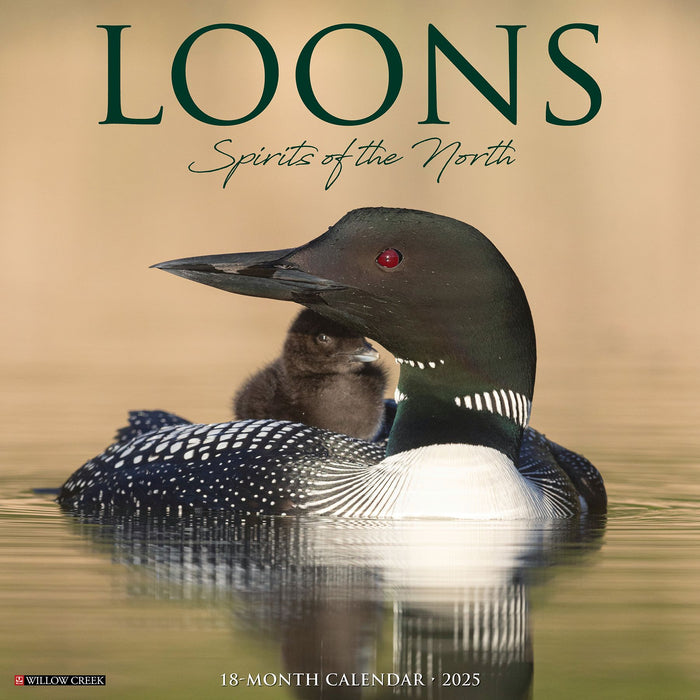 2025 Loons Wall Calendar 12 IN