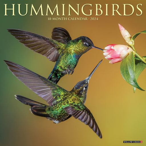 2024 Hummingbirds Wall Calendar 12 IN x 12 IN