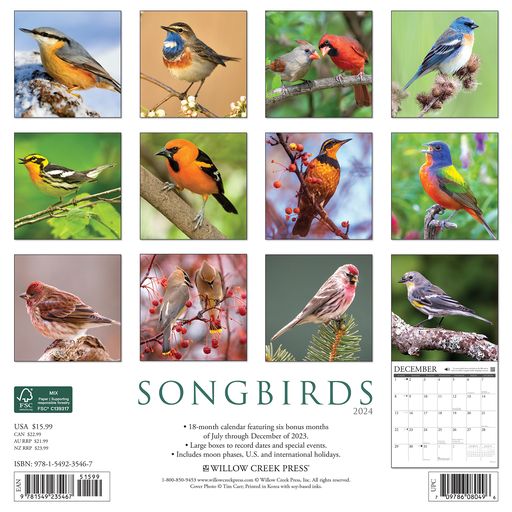 2024 Songbirds Wall Calendar 12 IN