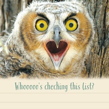 Pumpernickel Press Horned Owlet 50 Sheet Memo Pad With Magnet