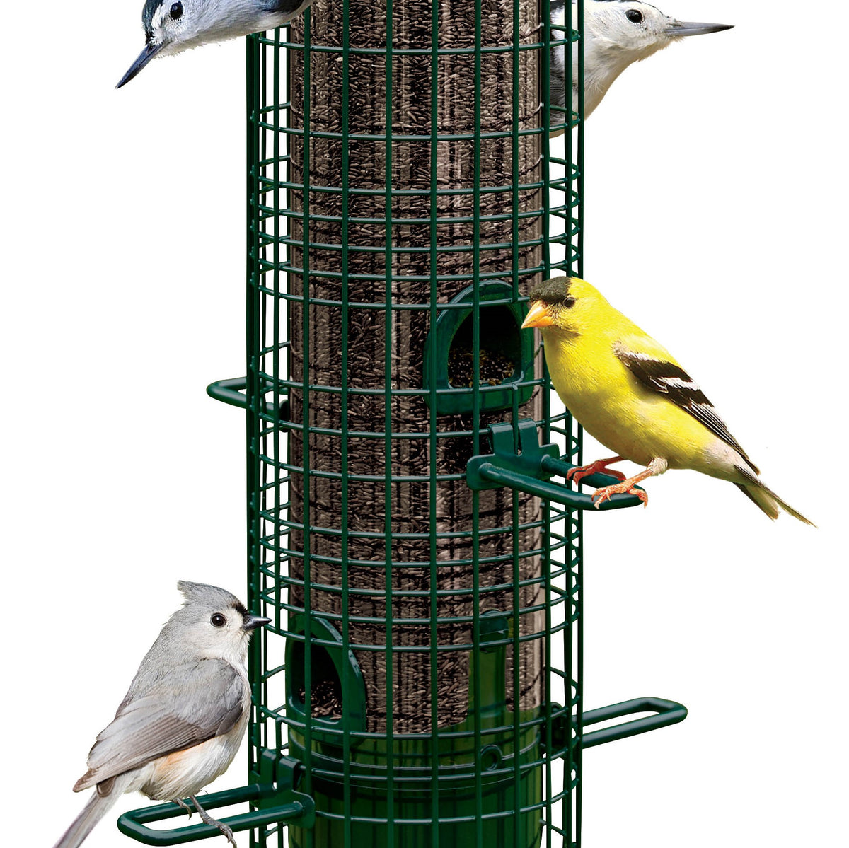 Squirrel Buster Classic Bird Feeder 1.4 QT — Birdertown
