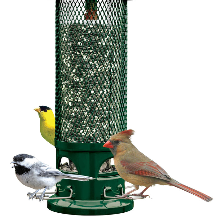 Squirrel Resistant Bird Feeders