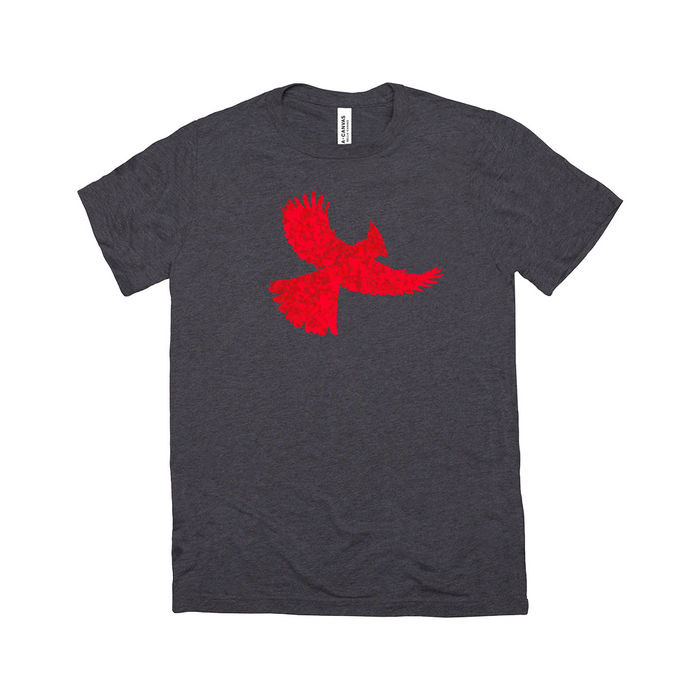 Bella + Canvas Women's Box Cut Cardinal Spatter Graphic T-Shirt