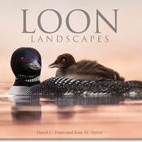 David C. Evers and Kate M. Taylor Loon Landscapes Hardcover Book