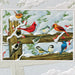 Pumpernickel Press Winter Songbirds Christmas Card 10/Box