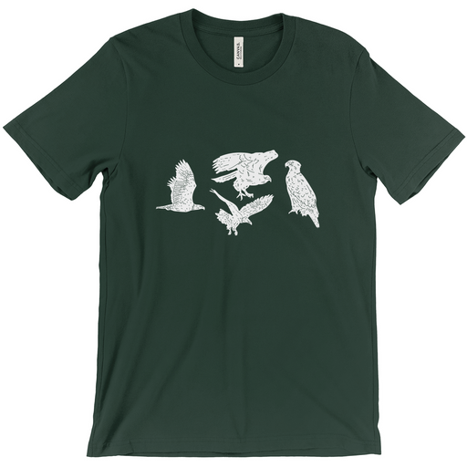 Bella + Canvas Men's Flock of Eagles Silhouette T-Shirt