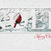 Pumpernickel Press Noel Christmas Card 16/Box