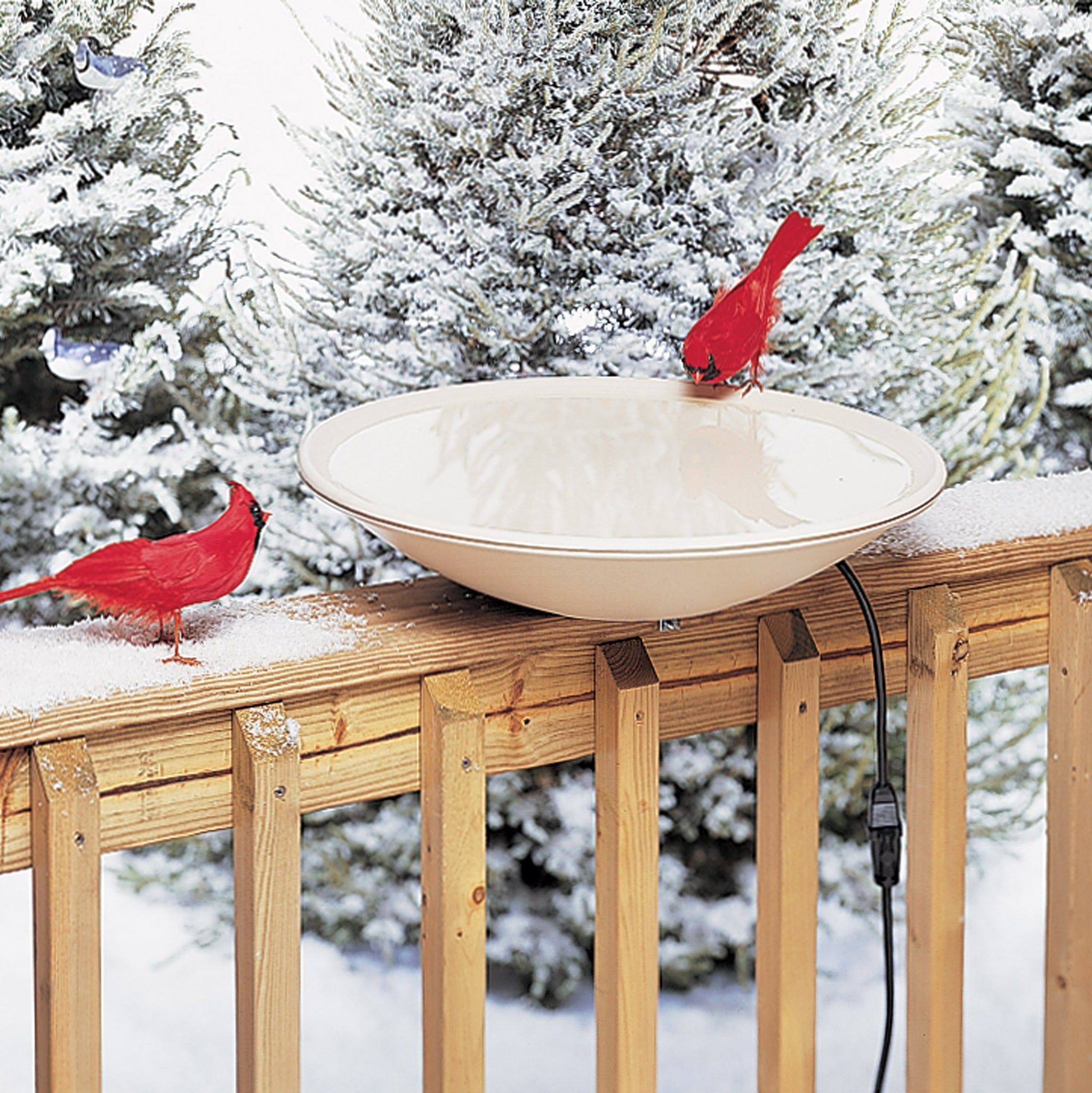Outdoor Bird Baths | Shop the Best Backyard Bird Baths & Accessories Online - Birdertown