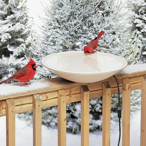 Heated Bird Bath With Hardware 20 IN