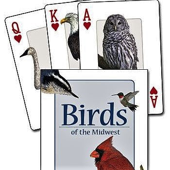 Birds of the Midwest Playing Cards