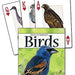 Birds of the Southwest Playing Cards