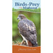 Birds Of Prey Of The Midwest Quick Bird Guide
