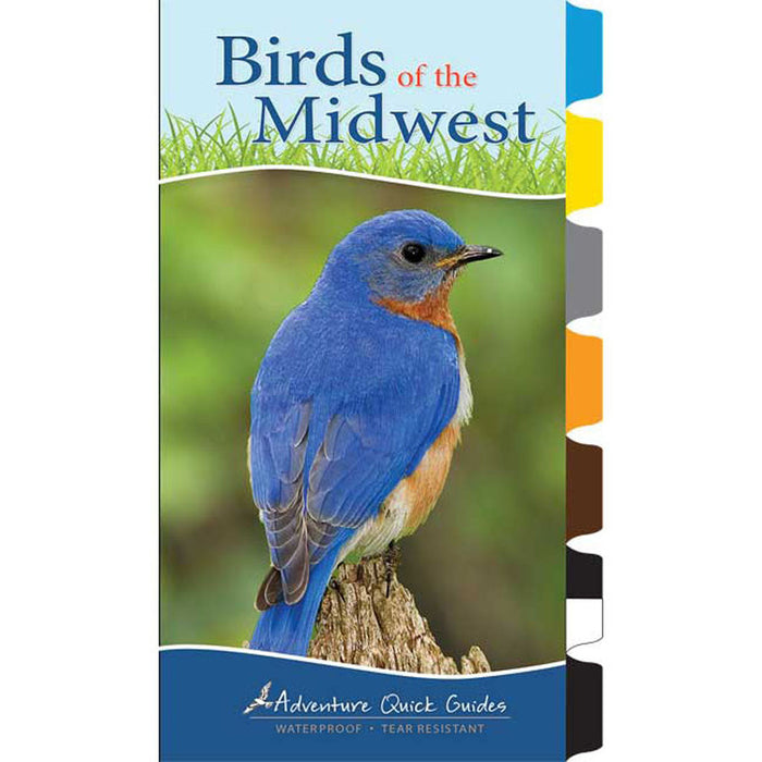 Birds Of The Midwest Quick Guide