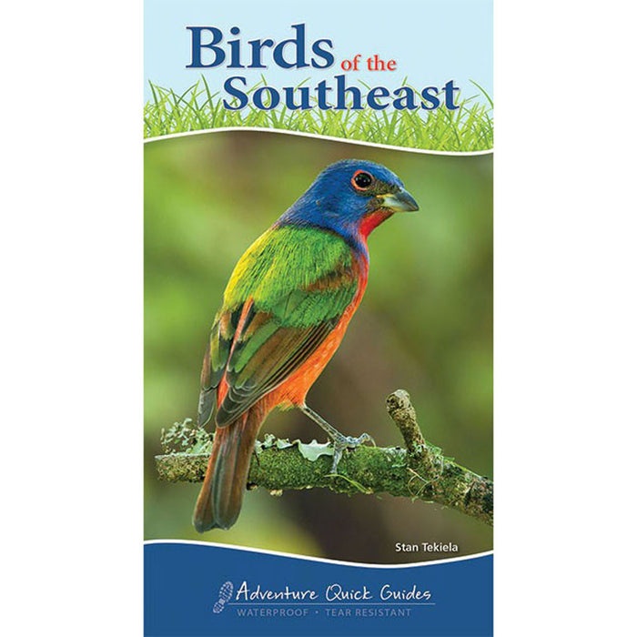 Birds Of The Southeast Quick Guide