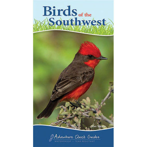 Birds Of The Southwest Quick Guide