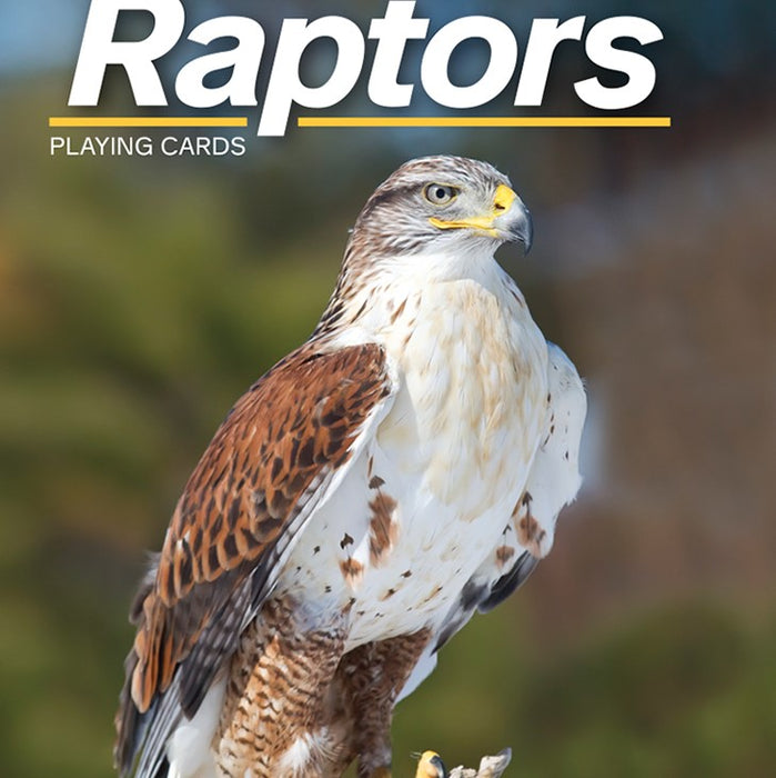 Raptor's Playing Cards