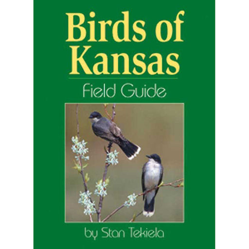 Kansas Birds Field Guide