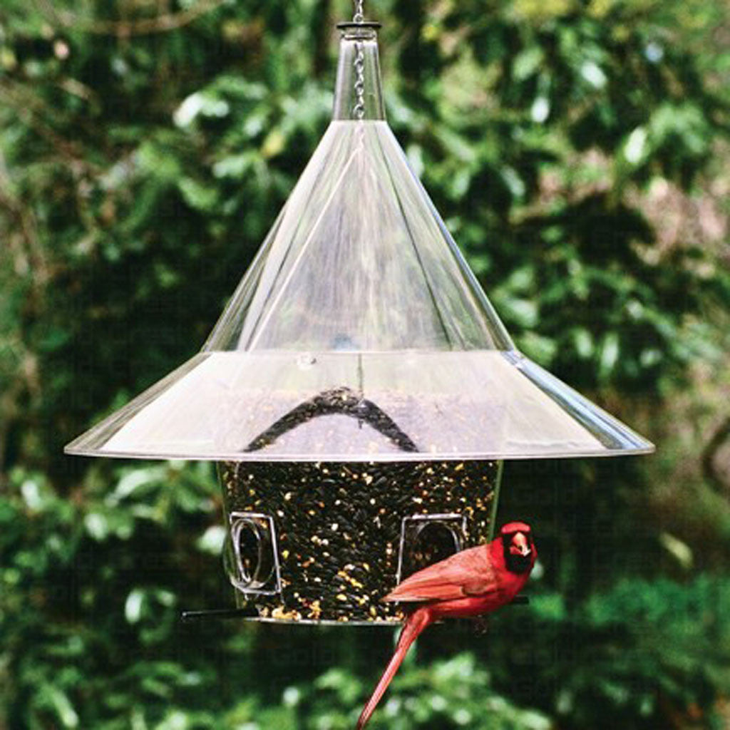 Backyard Birding Store | Shop Backyard Bird & Wild Bird Products ...