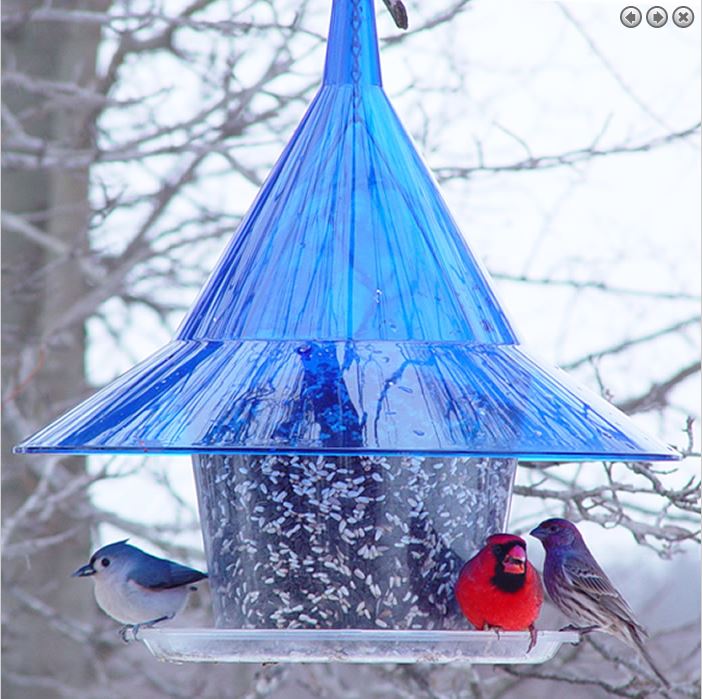 Sky Cafe Squirrel Resistant Bird Feeder Sapphire Blue Translucent 17 IN x 17 IN