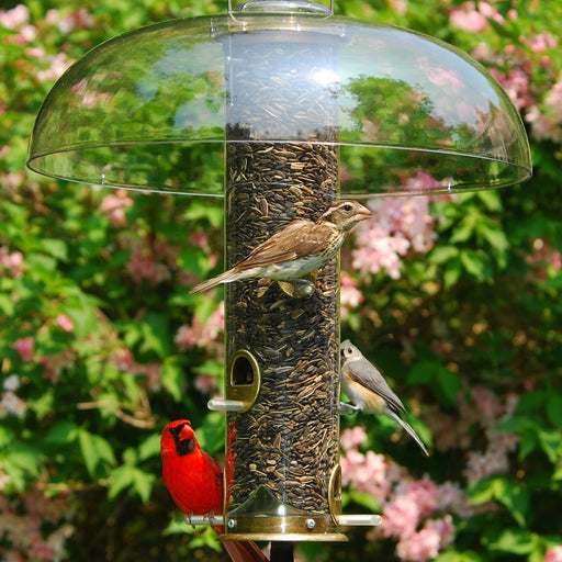 Super Tube Top II Dome for Quick Clean Bird Feeders
