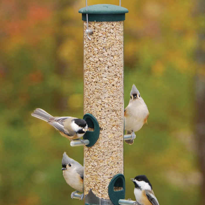 5.5 In x 5.5 IN x 16 IN Spruce Finish Quick Clean Seed Tube Bird Feeder