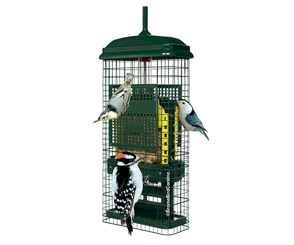 Brome Squirrel Buster Double Suet Bird Feeder by Brome Bird Care ...