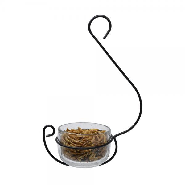 Clear Glass Hanging Treat and Mealworm Bird Feeder