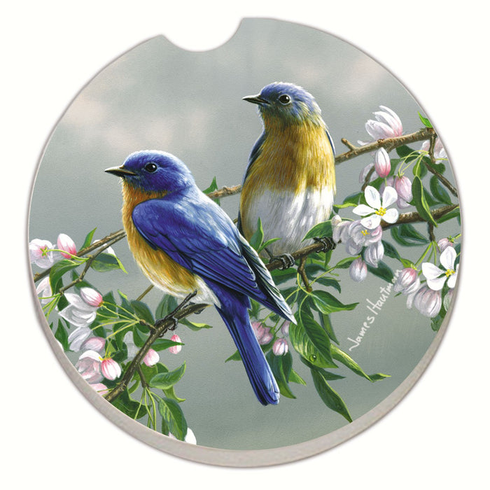 2.5 IN Beautiful Songbirds Bluebirds Car Coaster