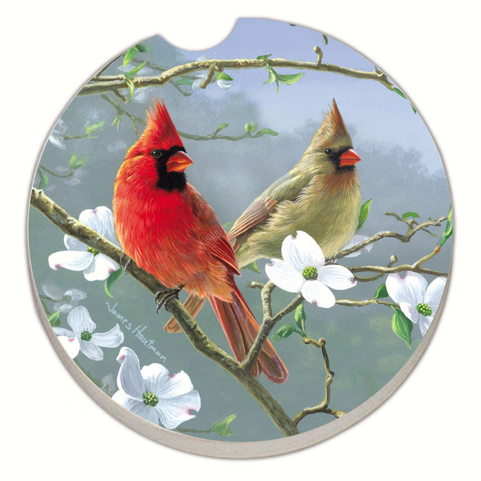 Beautiful Songbirds Cardinals Car Coaster