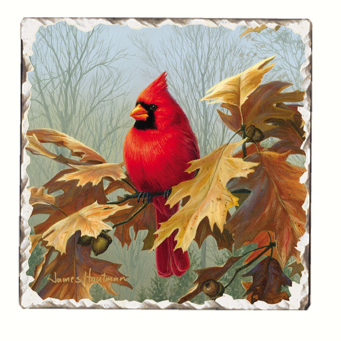Cardinal in Autumn Single Tumbled Tile Coaster 4 IN