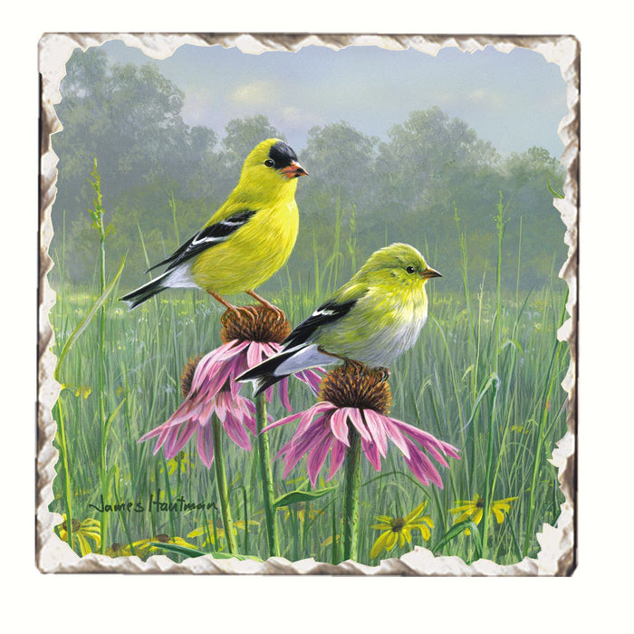 4 IN x 4 IN Goldfinches and Coneflowers Single Tumbled Tile Coaster
